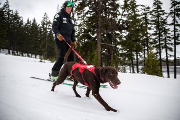 Ruffwear Patroler Leash Cindercone Red